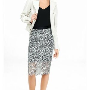 Express skirt